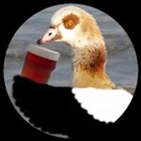 James Emerson (@norwichbirder) 's Twitter Profile