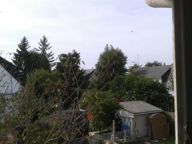 FollowBcck's profile picture. 