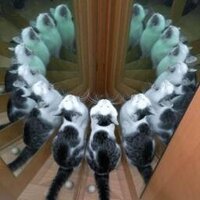 follyflly (@follyflly) 's Twitter Profile Photo follyflly (@follyflly) 's Twitter Profile Photo