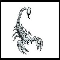 Scorpio Horoscope (@scorpiooctnov) 's Twitter Profile