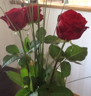 semhedin's profile picture. 