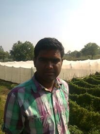 Engineer