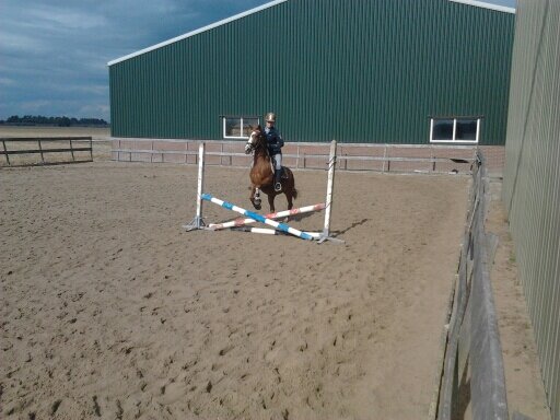 horse is the best friend