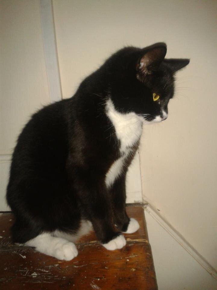Hiya, my name is Kizzy :D
I will destroy you.
