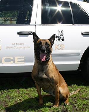 K9 vests - Protecting those who protect and serve us! MN nonprofit by & for MN K9