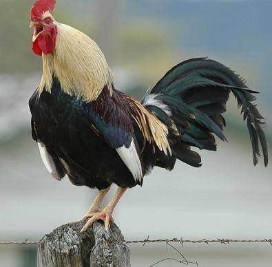Abuanasmohamed Profile Picture