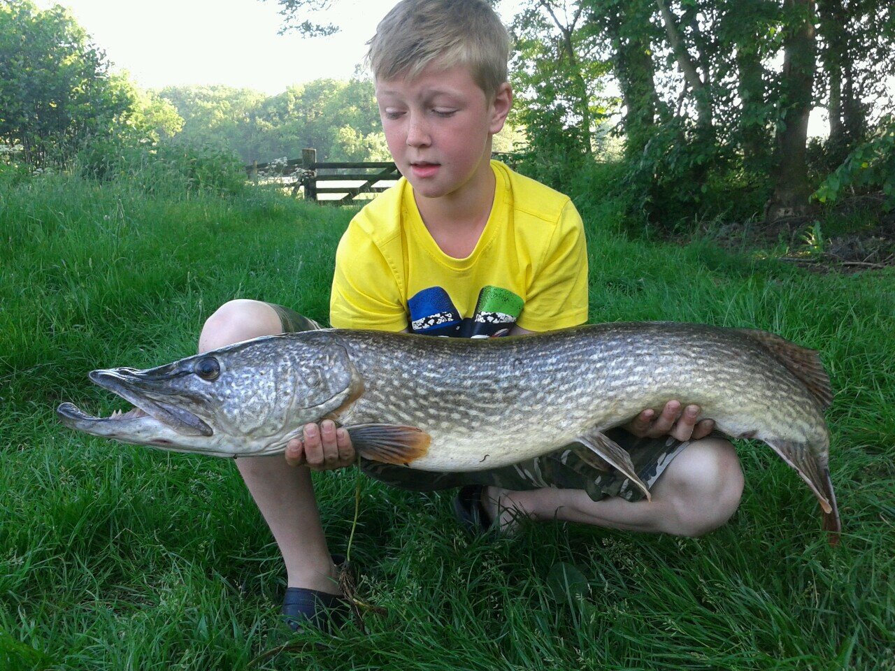 JPDuijst's profile picture. 