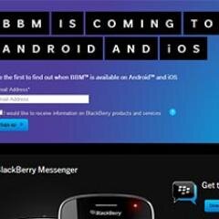 bbm4androidios's profile picture. 