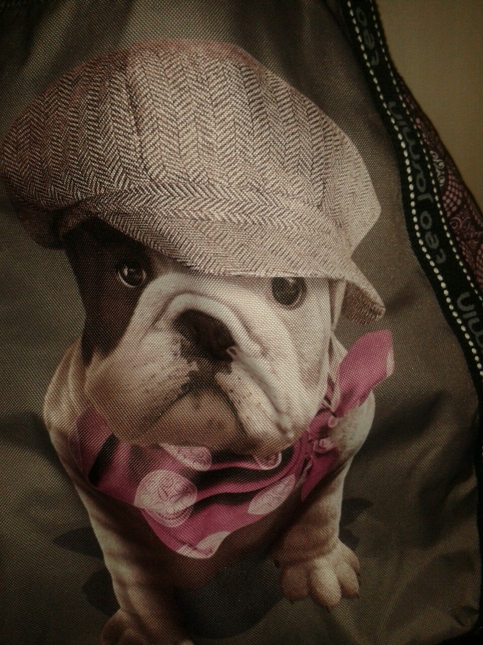 v1226sisi's profile picture. 