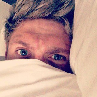 Niall James Horan is my life i love one direction so much there amazing xo Saw them on the 20/08/13'xoxo..
 -
#directonerforever x.