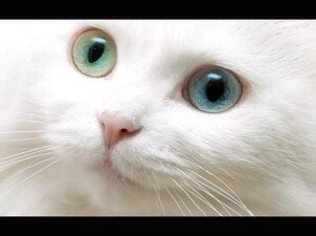 itsXIII's profile picture. なんでもないようなことをたまーーに呟く。 後ろはスキー場のリフトからの景色。