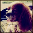 n.morita (@00240891) Twitter