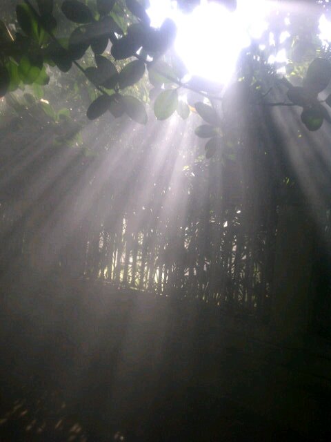 Silent reader. Yeaah!!