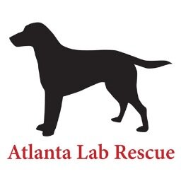 Atlanta Lab Rescue is an all volunteer, 501C3 nonprofit focused on rescuing Labs from overwhelmed shelters and abusive situations.