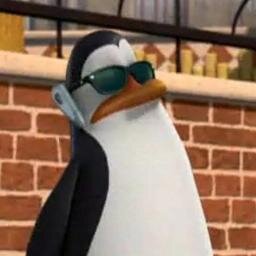 Hi there :) I´m teen Kowalski, but all my friends just call me Walski ^^
I go to school and work hard to became a genius :D German/English