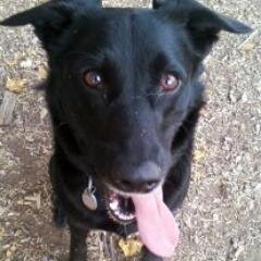 Ugot2B_kidding's profile picture. Notes To Myself. Random, Strange. Get out of my HEAD!