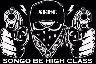 Official Class 9-B 21 JHS . Young Wild Free!!