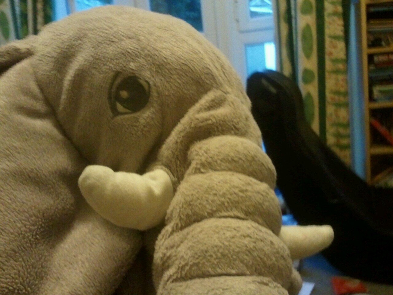 hohomojo's profile picture. Vegetarian single parent of two boys. Amateur yogi. Likes: books, baking, music, pizza, the smell of the sea; walking; beer; a cup of tea, politics, law.