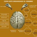 María Jesús Olea - @jexu_90 - Twitter