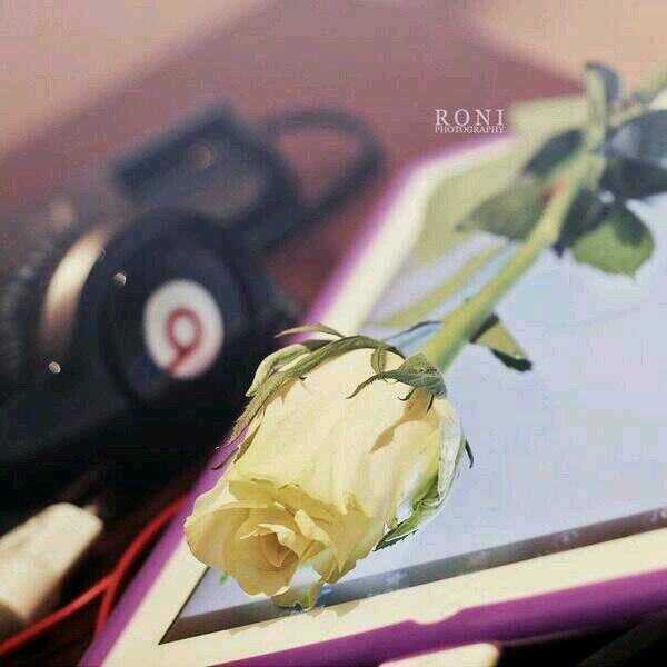 ‏‏حسابي الرسمي