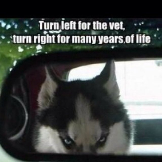 bradyreynolds05's profile picture. I have had a very hard life