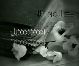نحن إلى' ذبول ، وَ دنيآنا إلى زوآل *