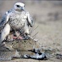 متيم الحب (@0552542155) Twitter