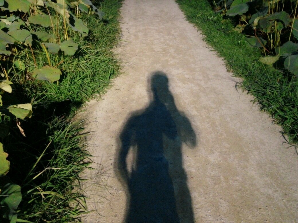 debuger79's profile picture. 그저 그렇게  조용히 살아가고 싶다.