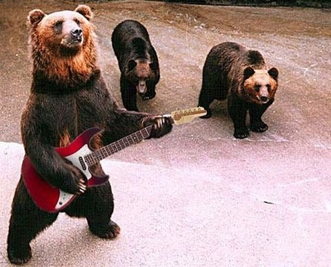 lyricsongbot's profile picture. 邦楽歌詞や洋楽歌詞の和訳をつぶやきます。個人的なメモというか備忘録のような用途のbotですが、ご自由にフォローして頂いて結構です。