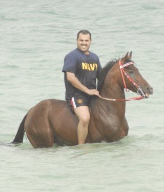 Arabian Horse Breeders since 2001
الجمال و الاصالة هما من كانا وراء هذا العشق الرباني