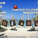 0800Curdas (@0800Curdas) Twitter