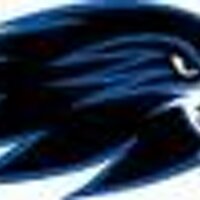 ONW TSA (@onwtsa) 's Twitter Profile