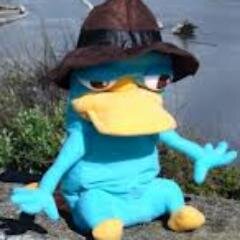 JustinKays_SLAP's profile picture. Official Twitter Account of SLAP's Justin Kays.