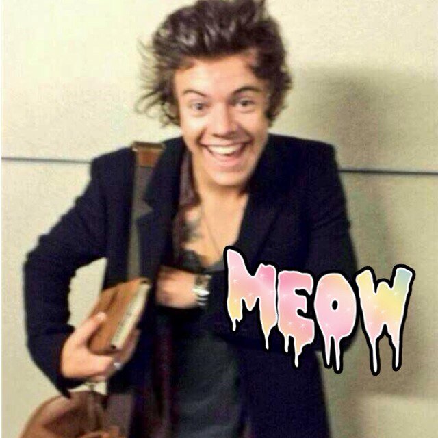 Follow brought to you by @amberisnotfunny (i follow back on that account too) It's like 2 follows for the price of 1