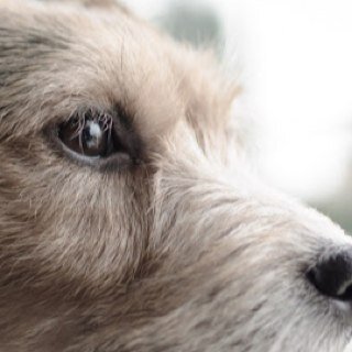 demogod01's profile picture. 