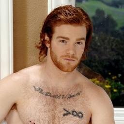 Weasley. Pelirrojo. Dragones. Gryffindor. Segundo hijo de siete hermanos. En Hogwarts, fui Buscador, Prefecto y Delegado. Ni gay ni hetero. Bisexual.