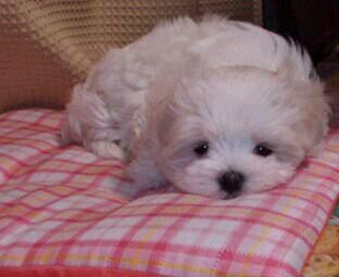 99kame's profile picture. 野球好きのエロです 。クンニ大好き。クンニ出張お気軽に笑。東京