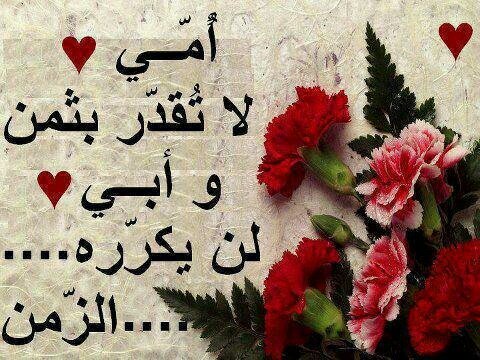 omalbneen@  الحياة بكل صخبها وضجيجها وزينتها وفتنها نحن فيها عابري سبيل  ...فلنختار أي طريق نسلك ...فإنا إلى الله سائرون