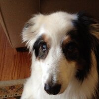 SW (@qlc1scott) 's Twitter Profile