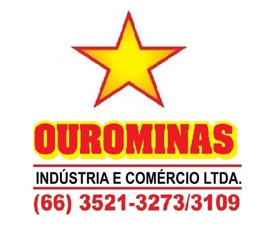 Ser referência em inovação, vendas e lucratividade da indústria, trazendo assim satisfação para clientes e colaboradores.