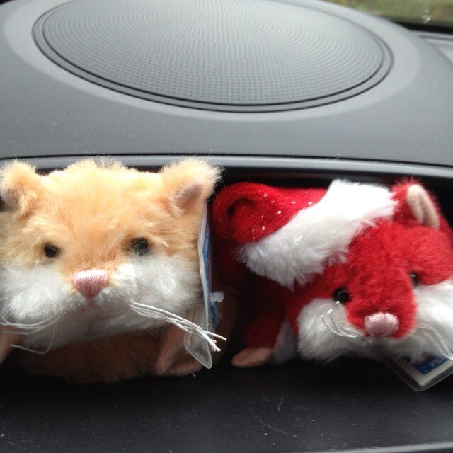 SKliamovich's profile picture. 