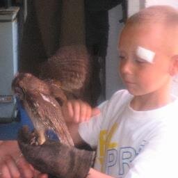 mickiehick's profile picture. 