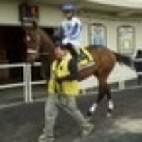 greg russo (@grade1greg) 's Twitter Profile