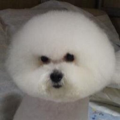 ろろ 夏目漱石が 坊ちゃん に込めたメッセージ 赤シャツ 赤い盾 Rothschild 独 ロスチャイルド 英語 読み 赤シャツの腰巾着である野太鼓 長州藩 坊ちゃんの盟友山嵐 会津藩 坊ちゃん かつての侍 同じ江戸っ子の没落士族の子孫として 野 ろろ 夏目漱石が 坊ちゃん に込めたメッセージ 赤シャツ 赤い盾 Rothschild 独 ロスチャイルド 英語 読み 赤シャツの腰巾着である野太鼓 長州藩 坊ちゃんの盟友山嵐 会津藩 坊ちゃん かつての侍 同じ江戸っ子の没落士族の子孫として 野