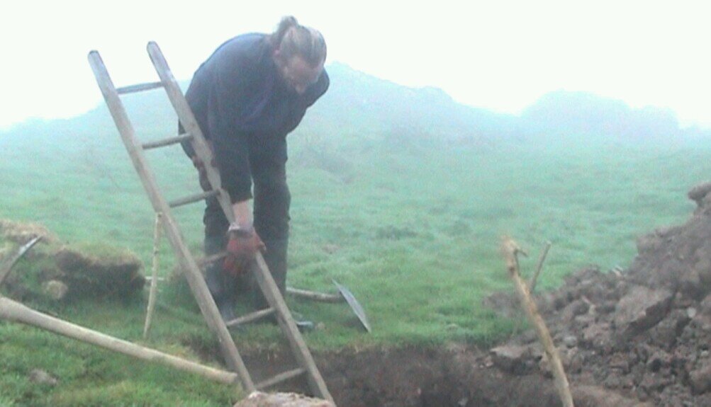 jamespskelly's profile picture. artist, video/sculpture