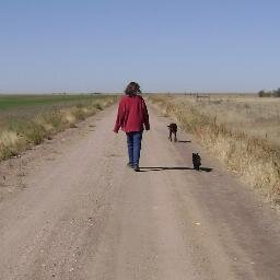 coloradoexp's profile picture. Special education advocate & consultant at Special Education and Disability Advocacy, LLC & mom to a grown daughter with Autism.