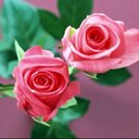mom.eliza.ca (@004267600320965) Twitter