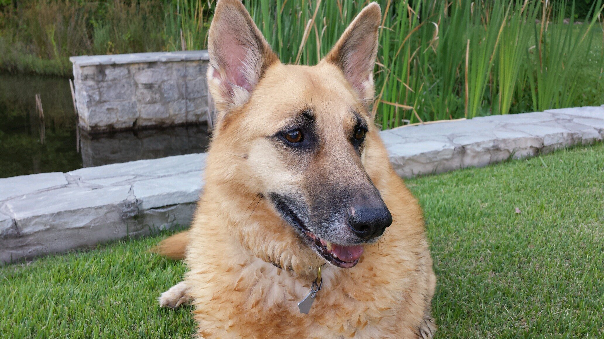 cassell_davis's profile picture. 