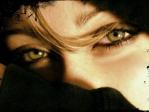 floryquin's profile picture. CERO CHAVISTAS   Antichavista totalll 1000%LIBEREN Y LEOPOLDO a LAIDED SALAZAR  A CEBALLOS Y DEMÁS PRESOS POLITICOS