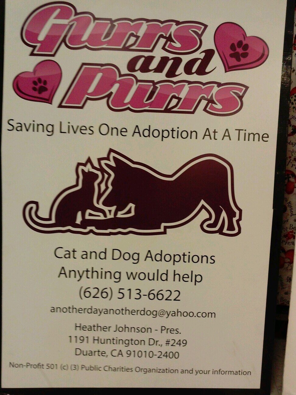 Follow us on Instagram too!! @ gurrsandpurrs_adoptions